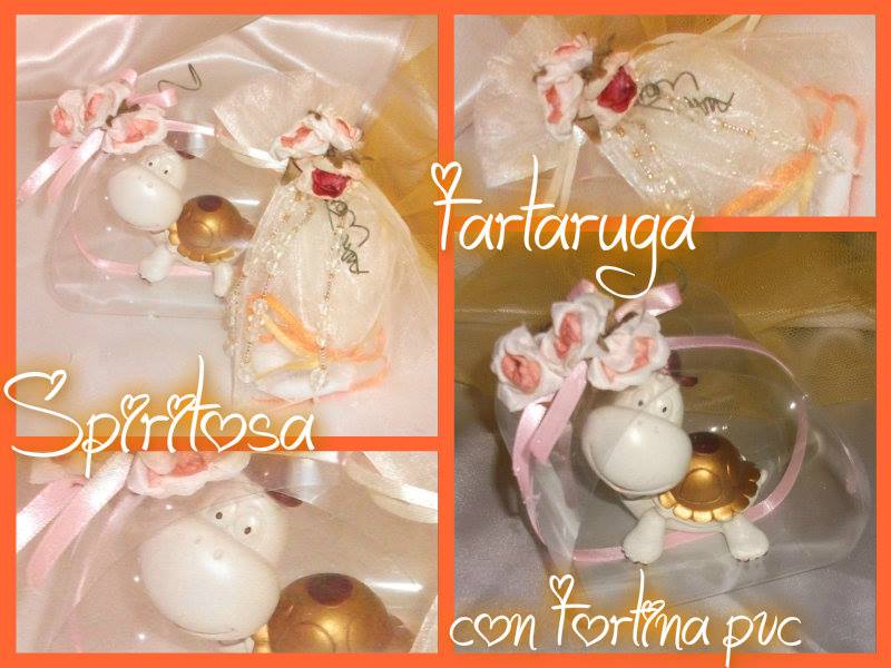 Tartaruga Spiritosa