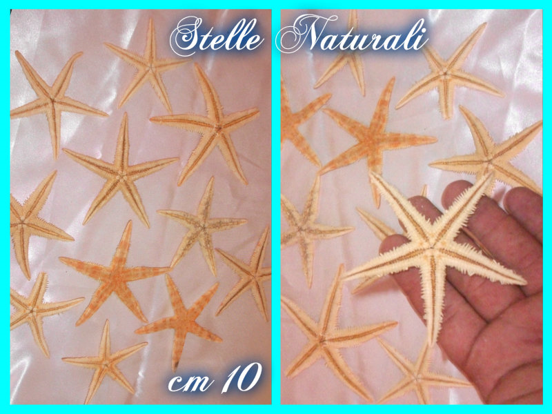 Stelle Naturali cm 4 - 116161612