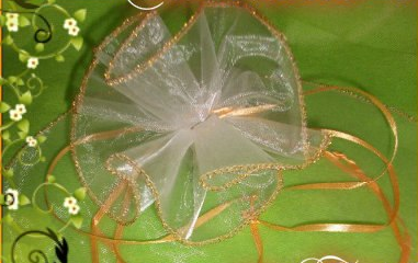 Sacchetto organza con bordatura - ET-C0577