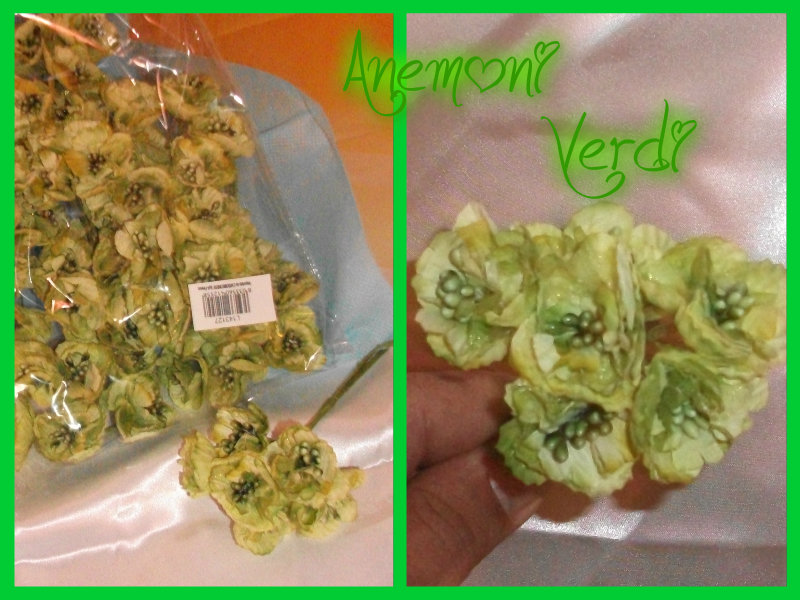 Anemoni Verdi - L143127