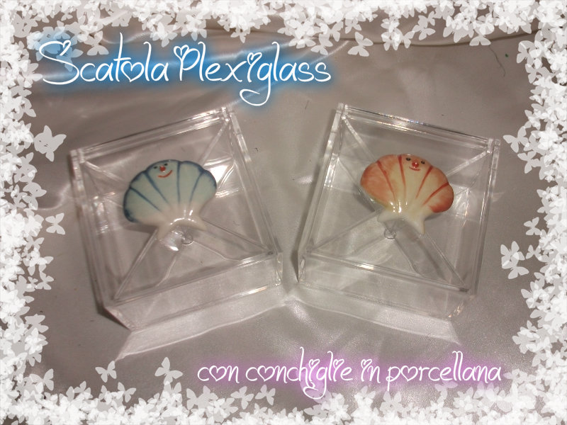 Scatola plex 10x10x6 con conchiglie porcellana