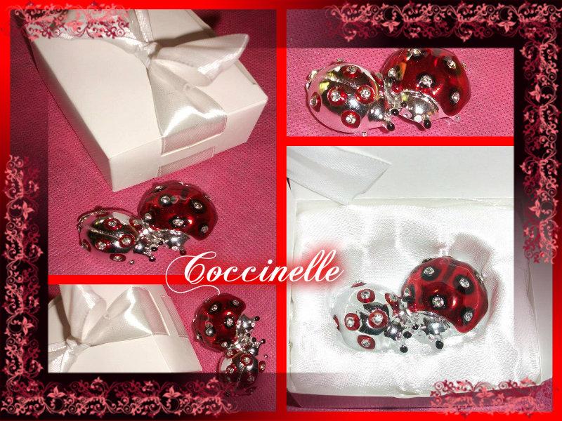 Coccinelle in Resina Argentata