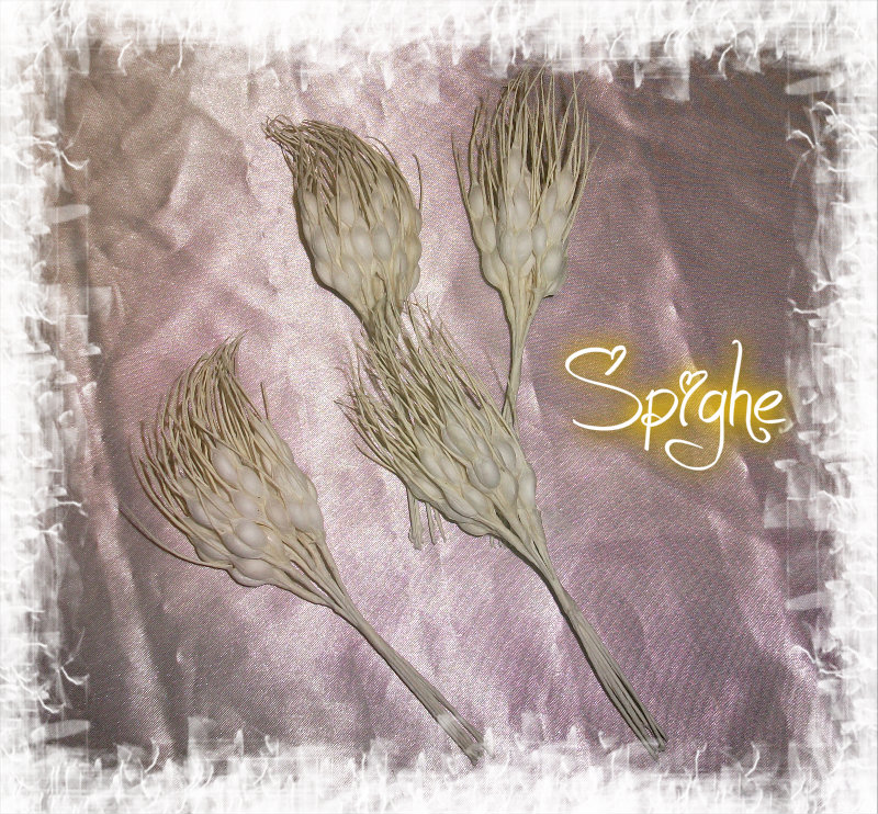 Spighe di Grano