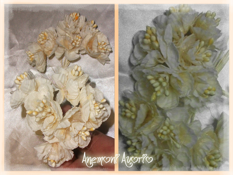 Anemoni Avorio - L143145