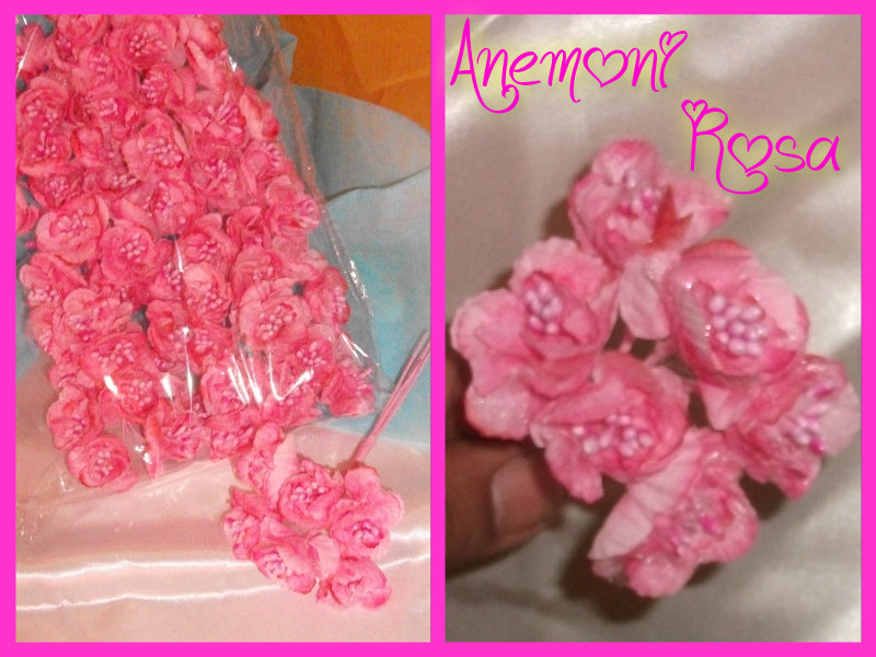Anemoni Rosa - L143111