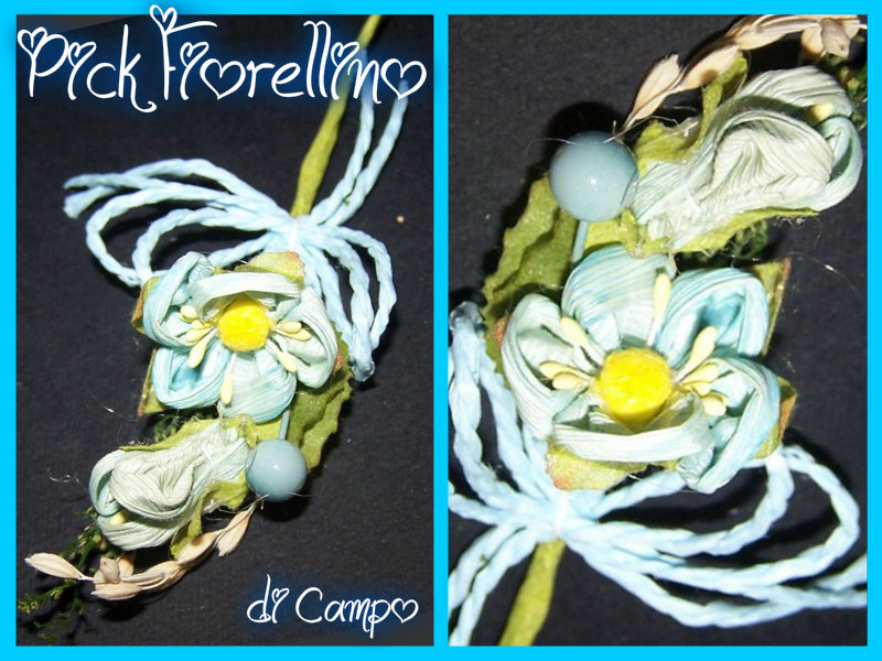 Pick Fiorellino di Campo in Azzurro - NA981c