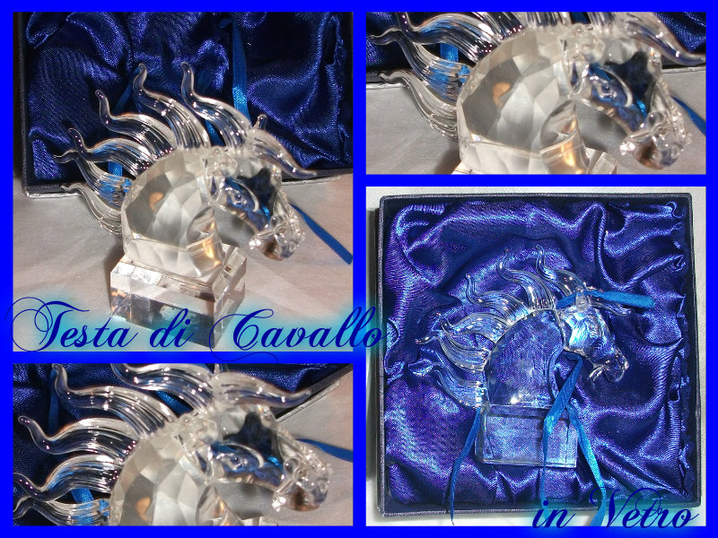 Teste di Cavallo in Vetro