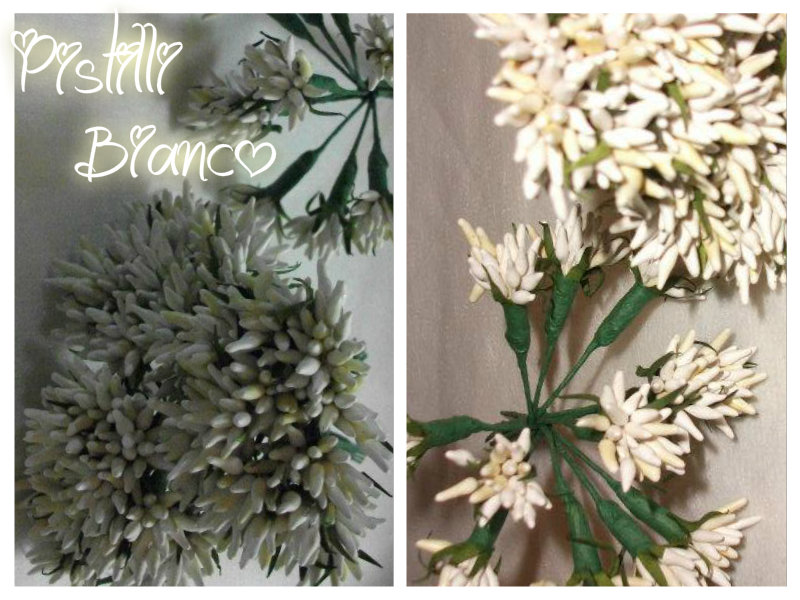Pistilli Bicolore Bianchi