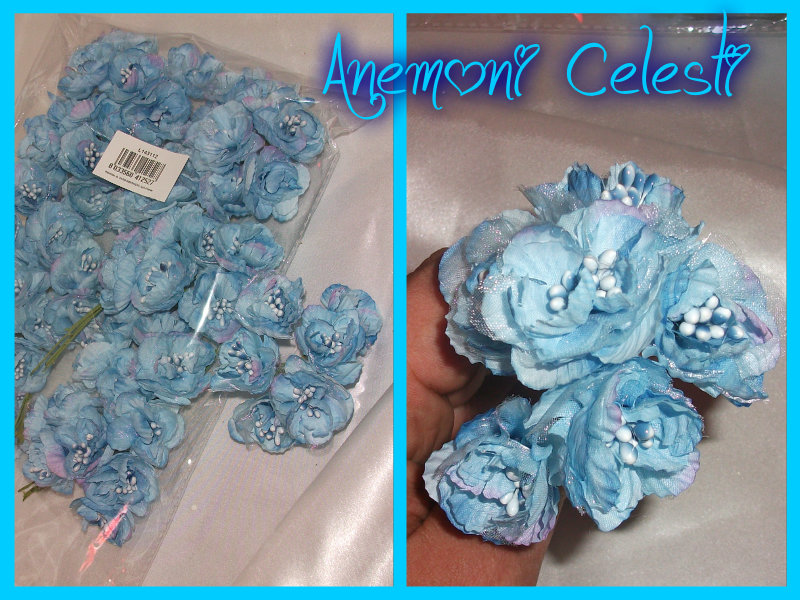 Anemoni Celesti - L143112
