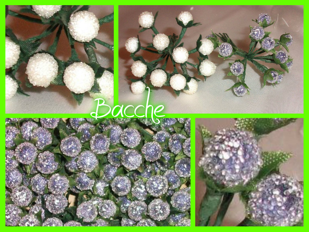 Bacche - 59800