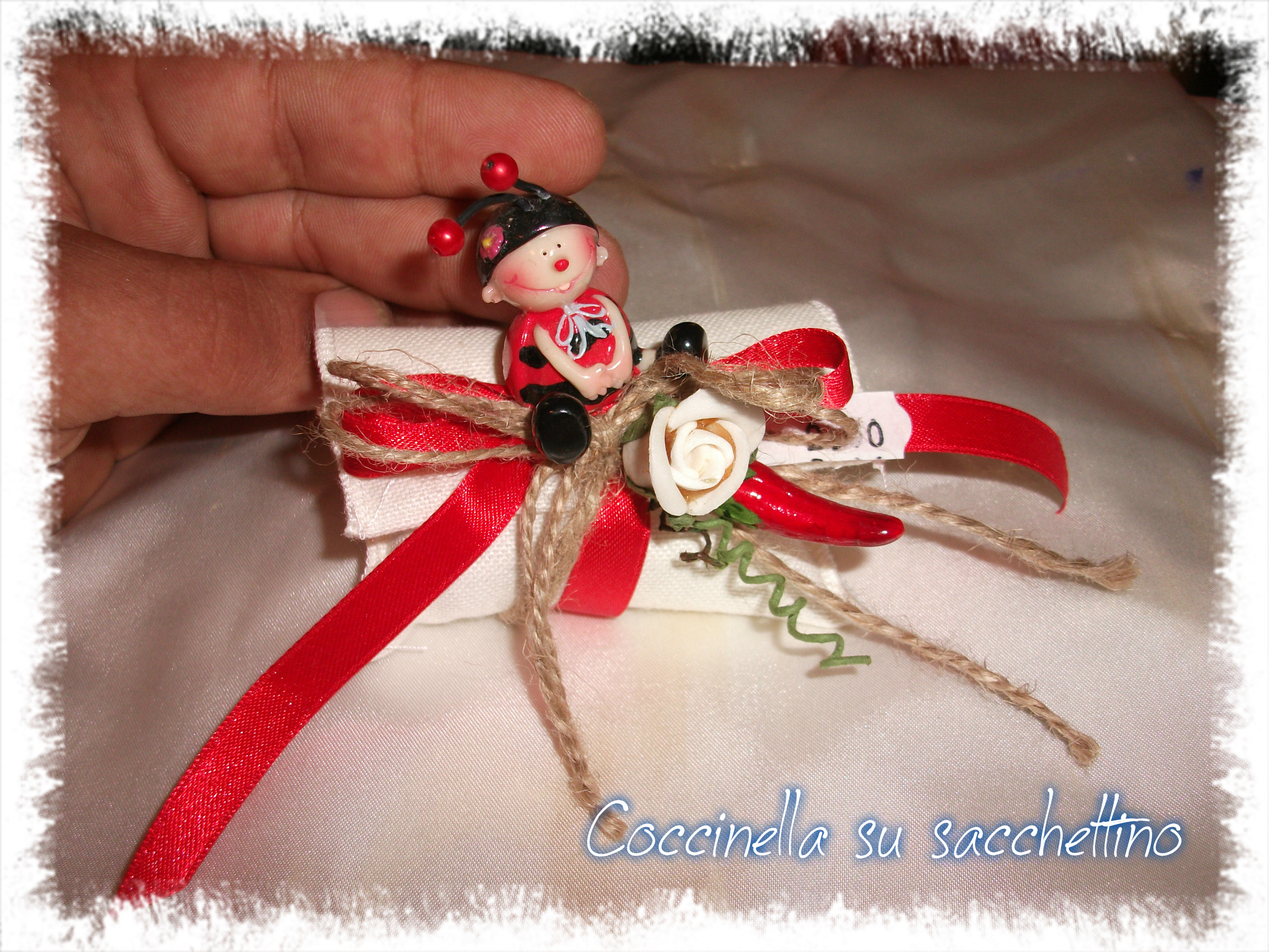 Coccinella su sacchetto