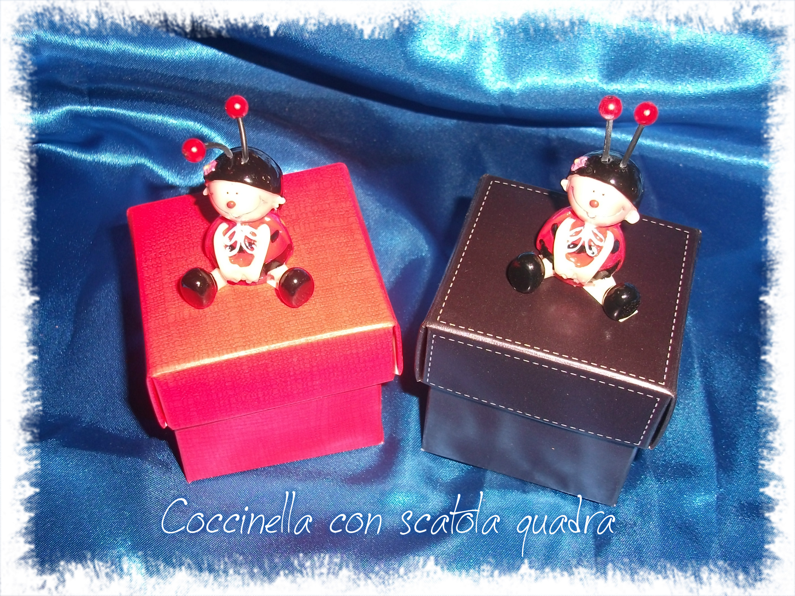 Coccinella con scatola quadra